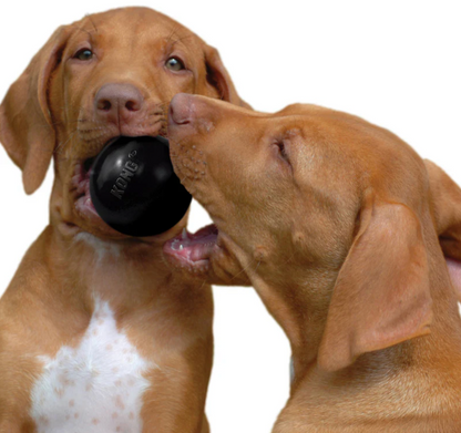 KONG Extreme Ball - Pelota Super Resistente | KONG. M