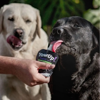 Yogur Funcional Natural con Prebióticos para Perros - Prebióticos Caja con 10 pzas. | YowUp  M