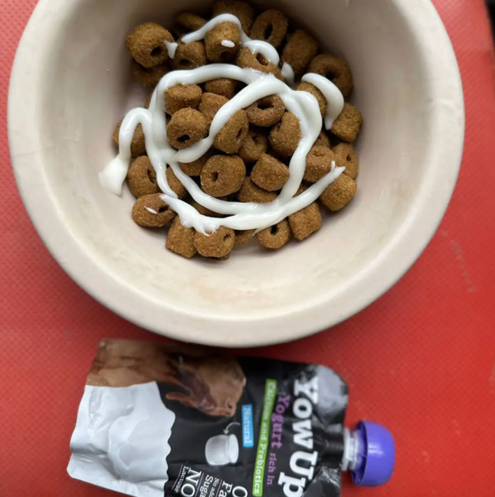 Yogur Funcional Natural con Prebióticos para Perros - Prebióticos Caja con 10 pzas. | YowUp  M