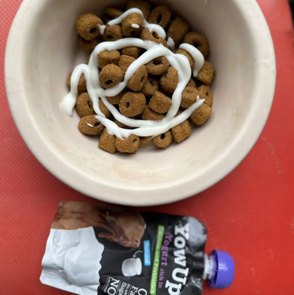 Yogur Funcional Natural con Prebióticos para Perros - Prebióticos Caja con 10 pzas. | YowUp  M