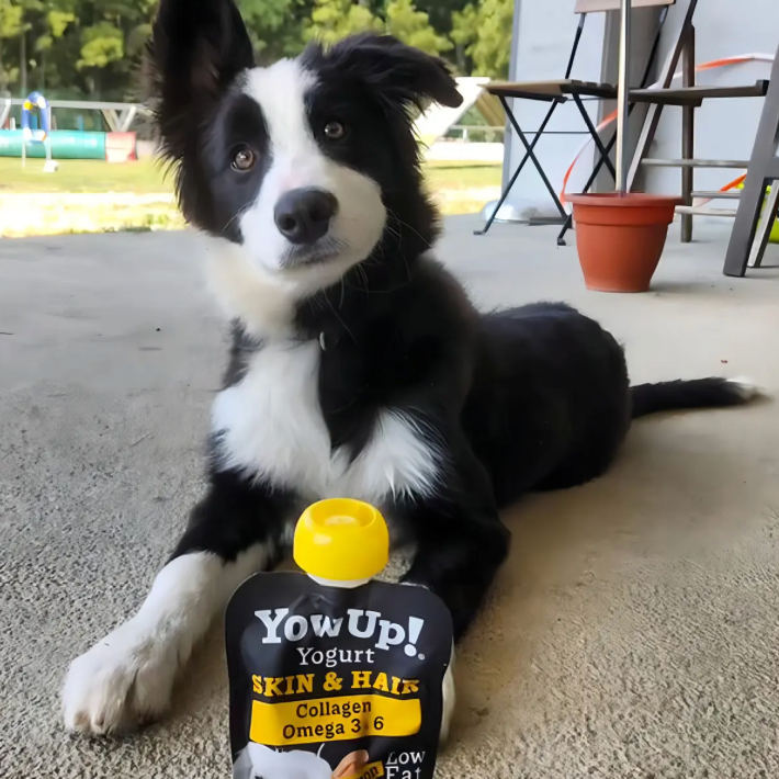 Yogur Funcional para Perros Piel y Pelaje - Salmón Skin & Hair Caja con 10 Pzas. | YowUp M