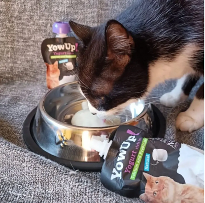 Yogur Funcional Natural con Prebióticos para Gatos - Salud Digestiva  Caja con 10 Pzas.| YowUp M