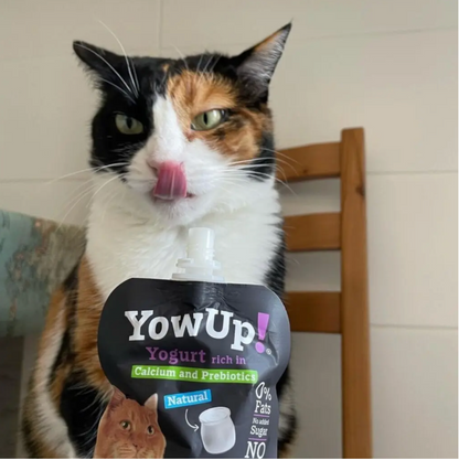 Yogur Funcional Natural con Prebióticos para Gatos - Salud Digestiva  Caja con 10 Pzas.| YowUp M