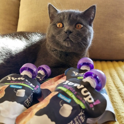 Yogur Funcional Natural con Prebióticos para Gatos - Salud Digestiva  Caja con 10 Pzas.| YowUp M