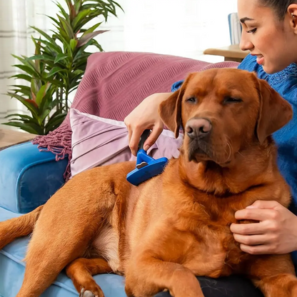 Cepillo Deslanador Furminator para Perro Grande | Furminator  M