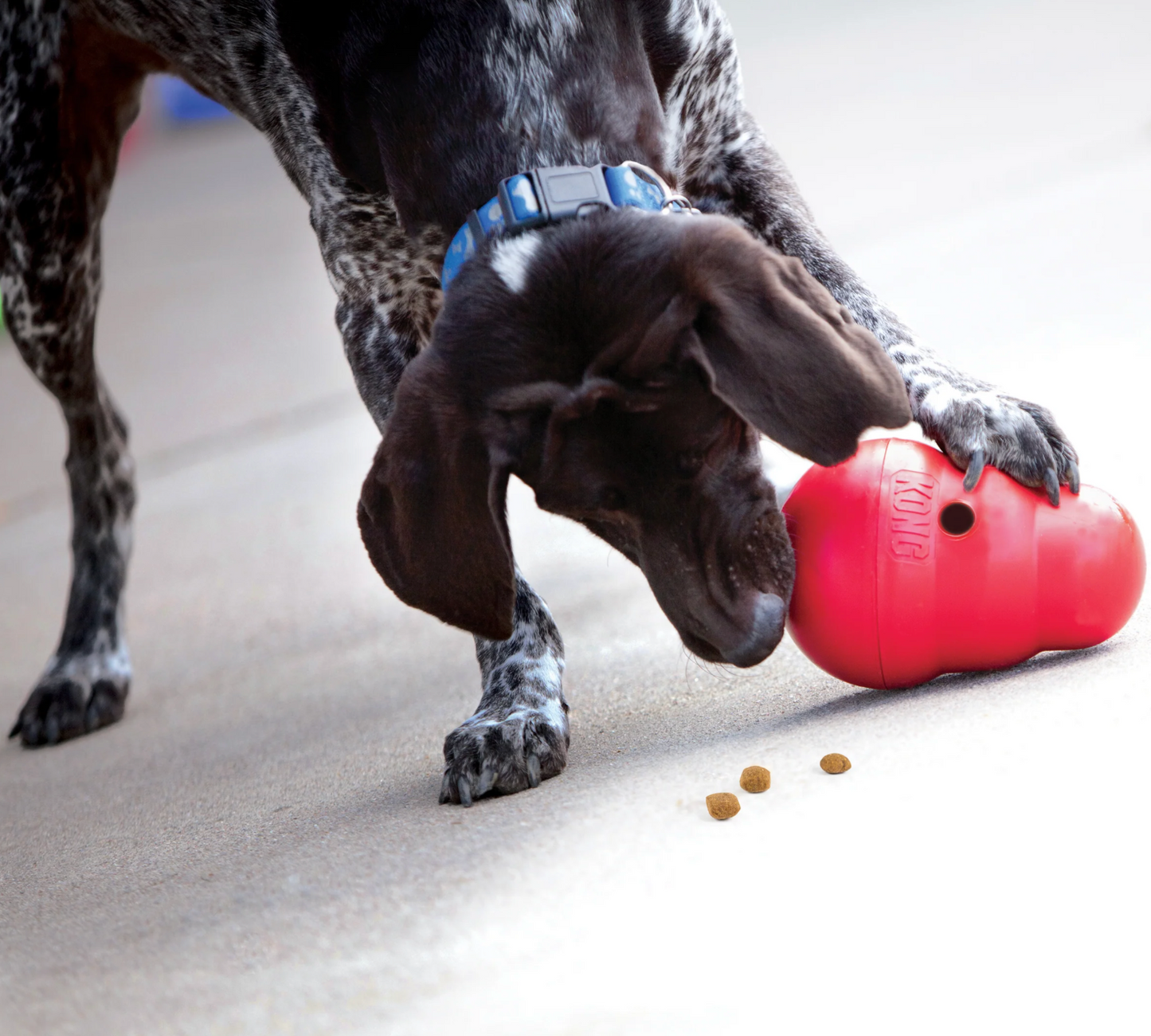 KONG WOBBLER - Juguete dispensador de alimento y premios para perros | KONG   M