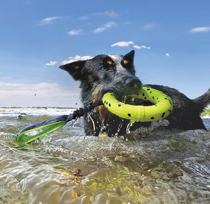 Reflex Tug - Juguete para Perros de Kong  | KONG  M