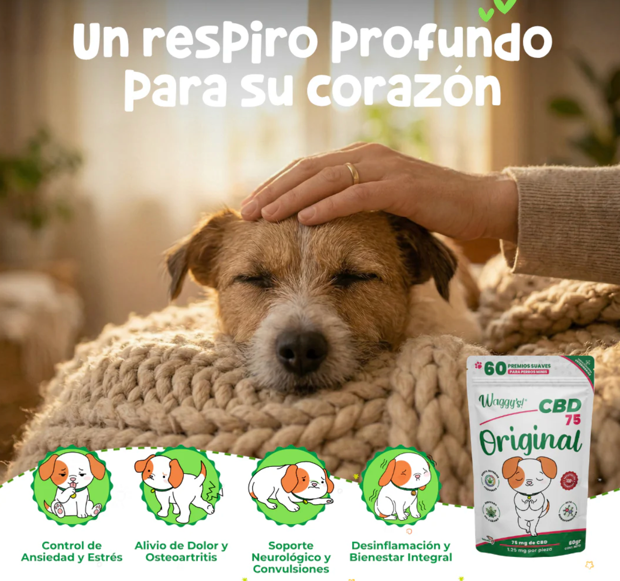 Premios Calmantes para Ansiedad y Dolor en Perros | Waggys  ***