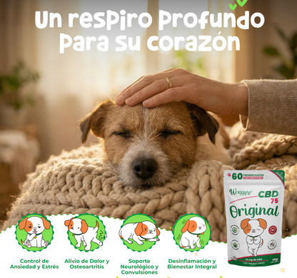 Premios Calmantes para Ansiedad y Dolor en Perros | Waggys  ***