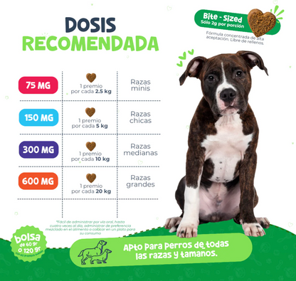 Premios Calmantes para Ansiedad y Dolor en Perros | Waggys  ***