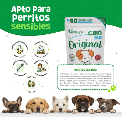 Premios Calmantes para Ansiedad y Dolor en Perros | Waggys  ***