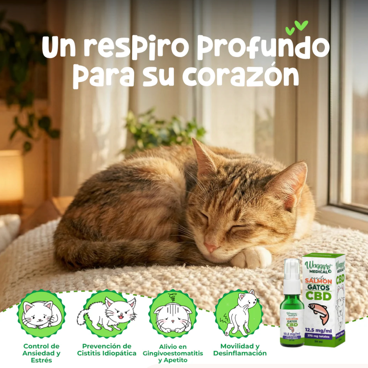 Aceite de Salmón Calmante para Gatos | Waggy's ***
