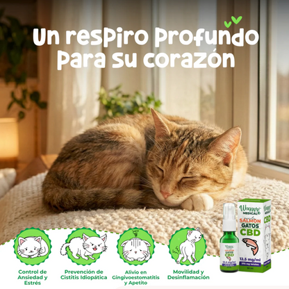 Aceite de Salmón Calmante para Gatos | Waggy's ***