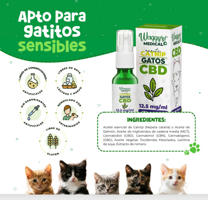 Aceite de Salmón Calmante para Gatos | Waggy's ***
