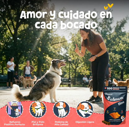 Premios Naturales para Entrenamiento de Perros | Waggy's Bites ***