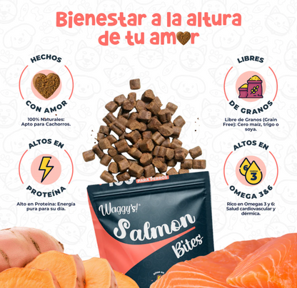 Premios Naturales para Entrenamiento de Perros | Waggy's Bites ***