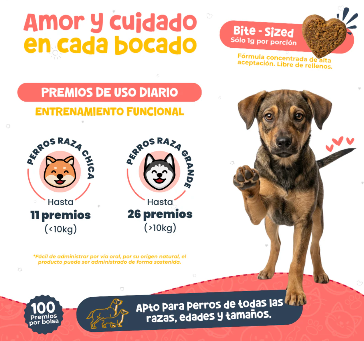 Premios Naturales para Entrenamiento de Perros | Waggy's Bites ***