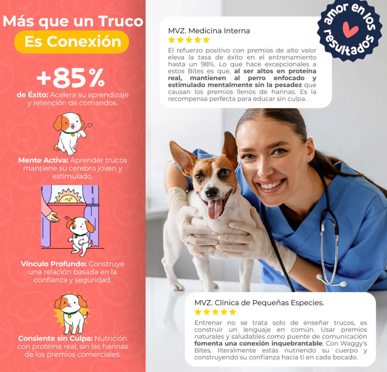 Premios Naturales para Entrenamiento de Perros | Waggy's Bites ***