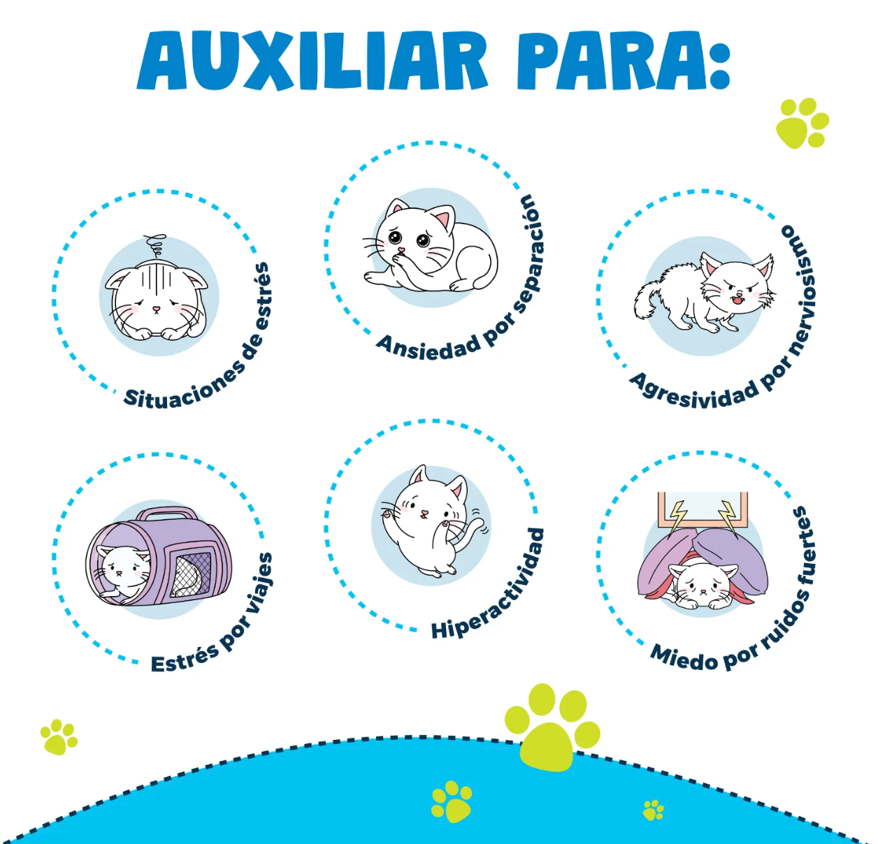 Calming Gatos | Waggy's®  ***