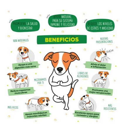 Wellness Gatos | Waggy's® ***