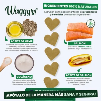 Wellness Gatos | Waggy's® ***