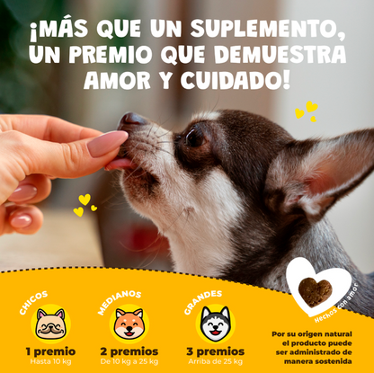 Shine Suplemento para Perro en Forma de Premios Suaves para Piel y Pelo | Waggy's  ***
