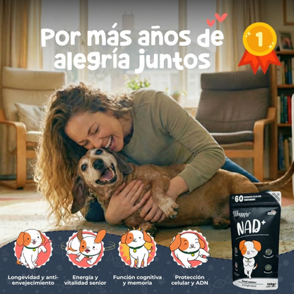 NAD+ Suplemento para Salud Articular en Forma de Premios Suaves para Perro| Waggy's ***