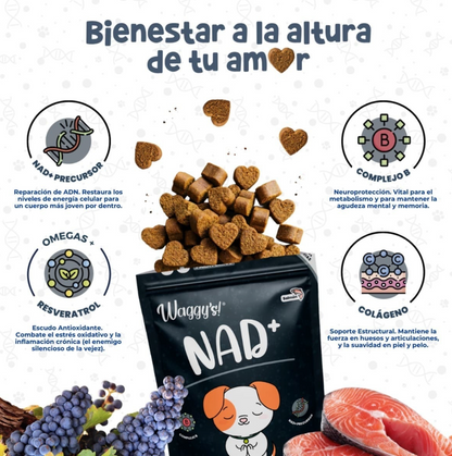 NAD+ Suplemento para Salud Articular en Forma de Premios Suaves para Perro| Waggy's ***