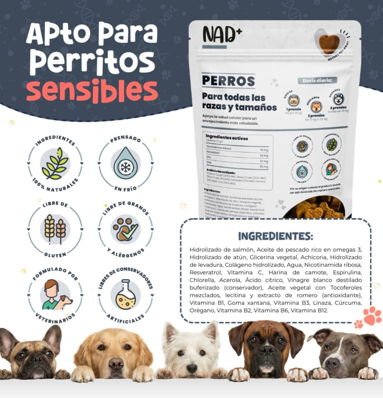 NAD+ Suplemento para Salud Articular en Forma de Premios Suaves para Perro| Waggy's ***