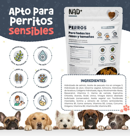 NAD+ Suplemento para Salud Articular en Forma de Premios Suaves para Perro| Waggy's ***