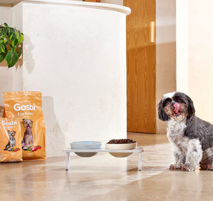 Exclusive Dog Adult Mini Chicken | GOSBI ***