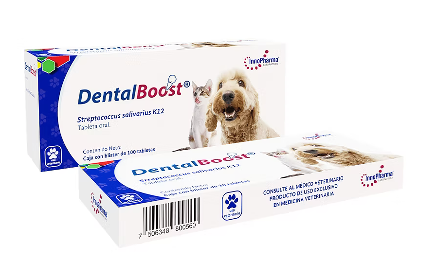 Dental Boost® 30 Past. / InnoPharma
