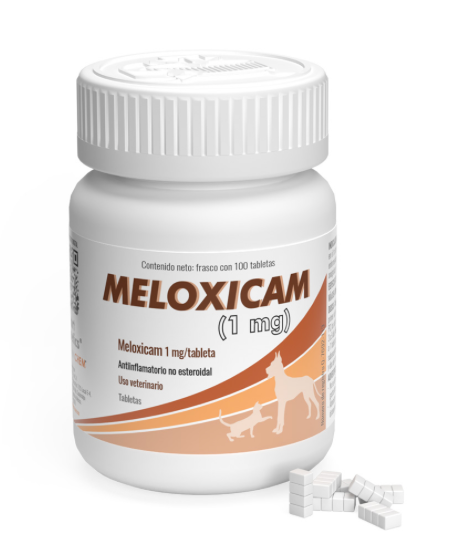 MELOXICAM - ALPHACHEM