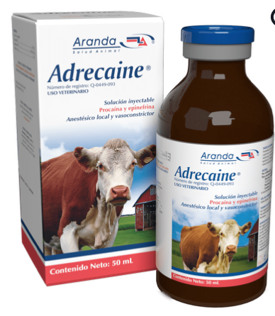 Adrecaine - Aranda *