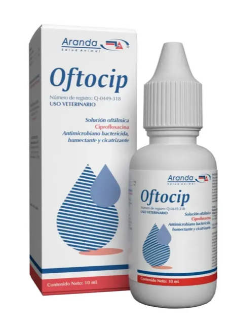 Oftocip - Aranda *