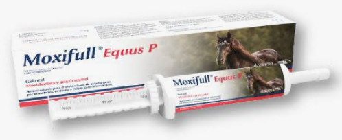 MOXIFULL EQUUS P - Aranda*
