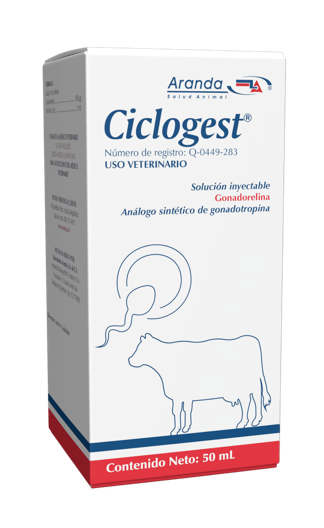 Ciclogest - Aranda *