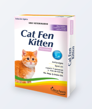 Cat Fen Kitten - Biochem*