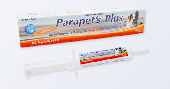 Parapets Plus Pasta 15g - Biochem*