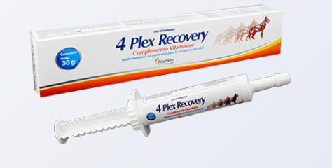 4 Plex Recovery - Biochem*