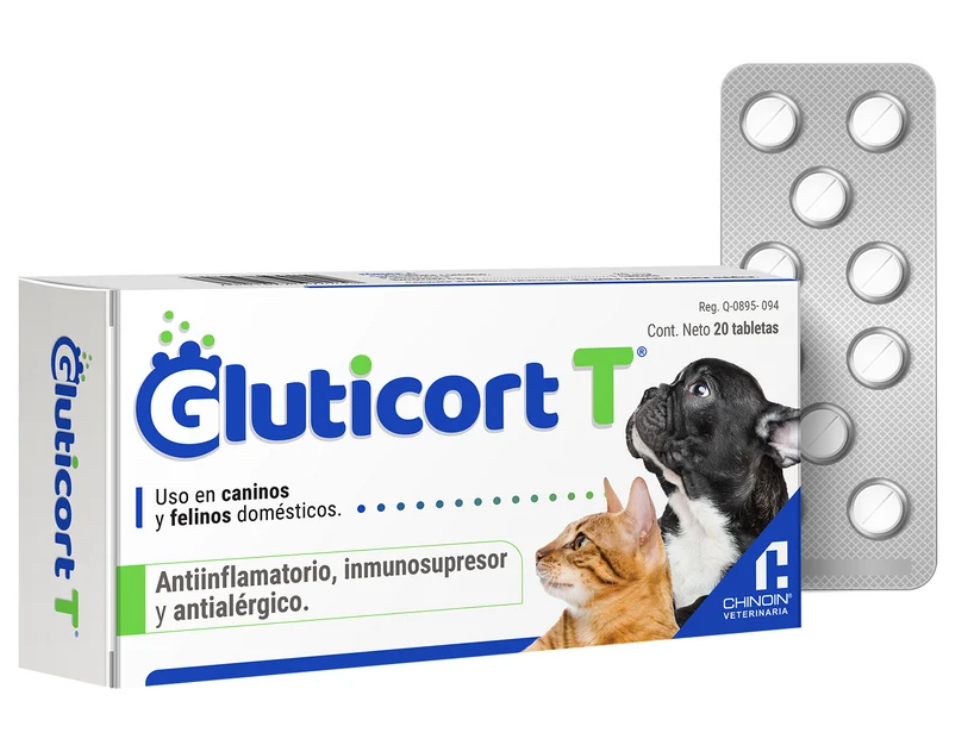 Gluticort T 20 Mg  - Chinoin AC *
