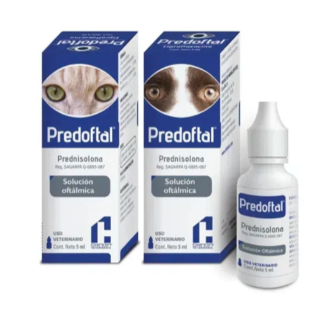 Predoftal Oftalmico - Chinoin AC*