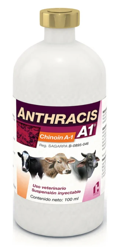 Anthracis Chinoin A-1 - Chinoin *