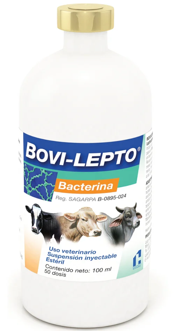 Bovi -Lepto® - Chinoin GE*