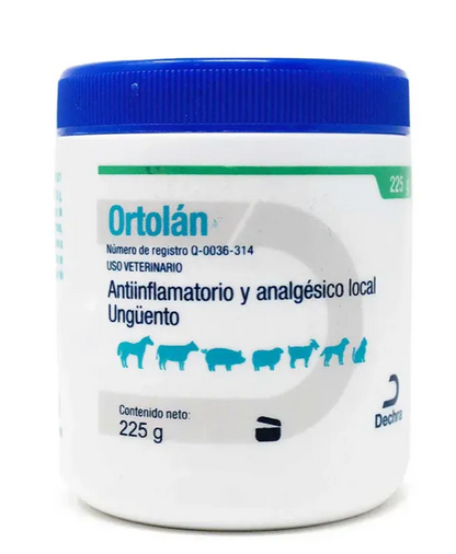 Otorlán - DECHRA