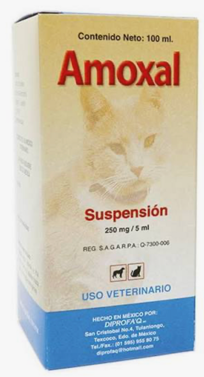 Amoxal Oral - Diprofa Q*