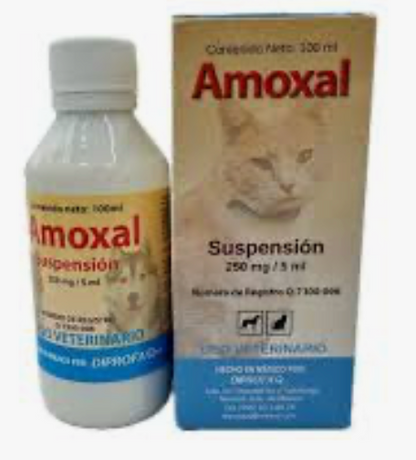 Amoxal Oral - Diprofa Q*