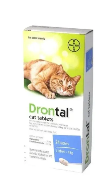 DRONTAL CAT - ELANCO