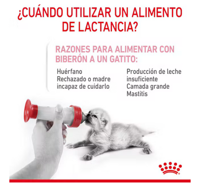 Babycat Milk - Royal Canin
