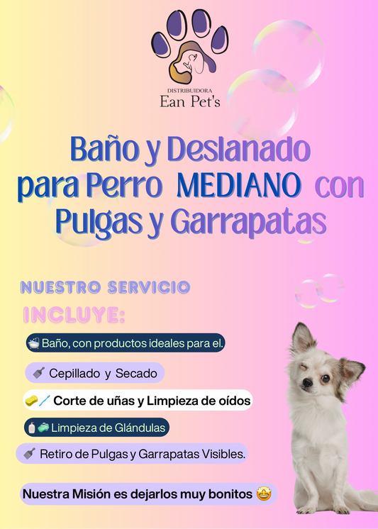 Baño y Deslanado para Perro Mediano con Pulgas y Garrapatas.